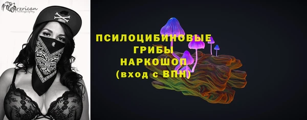 МДПВ Армянск
